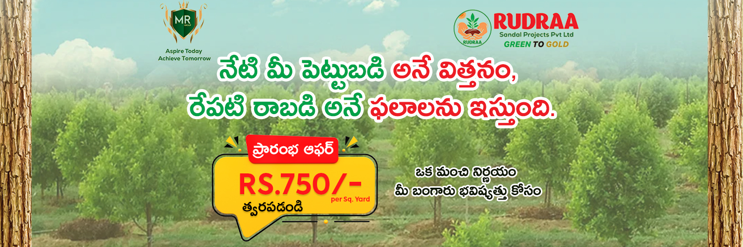 Rudra Sandal Projects