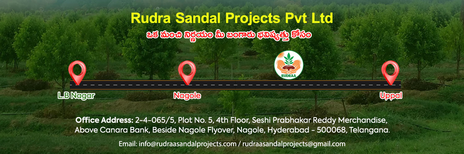 Rudra Sandal Projects
