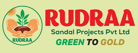 Rudra Sandal Projects